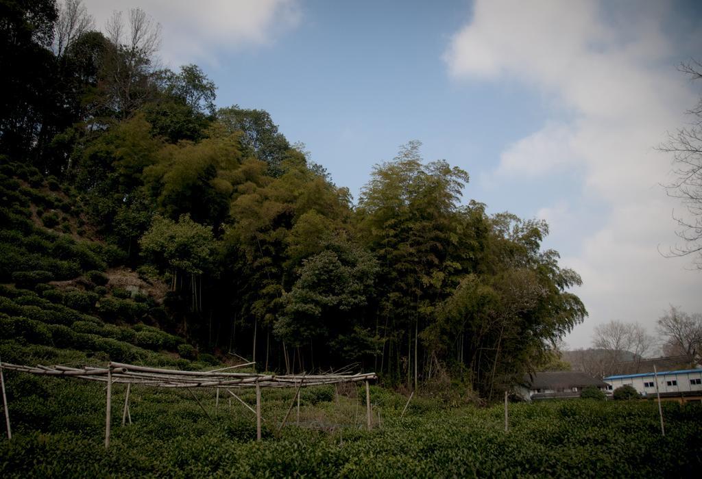 Hangzhou Banyan Art House Luaran gambar